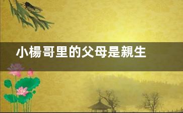 小楊哥里的父母是親生父母嗎  大小楊哥為什么姓不一樣